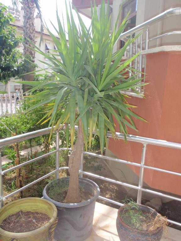 Aloe Apart Hotel Marmaris Esterno foto